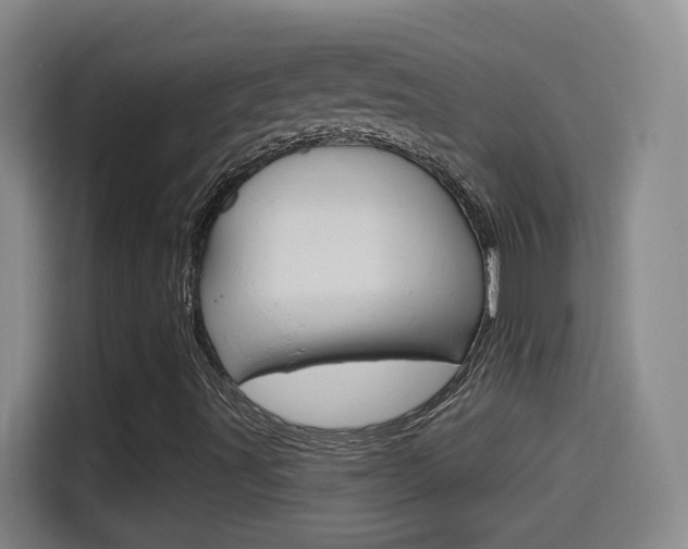 X0000114551491200910190941