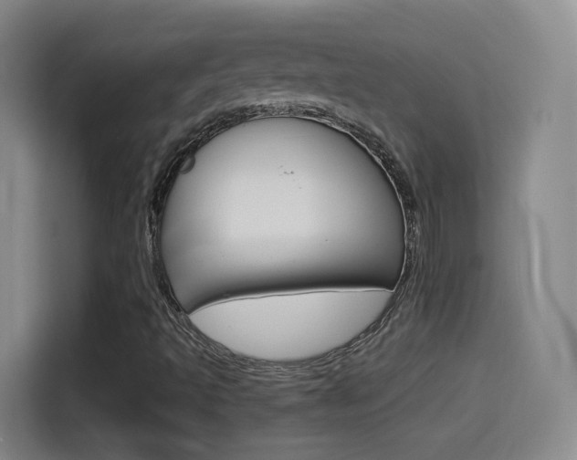 X0000114551493200910190941