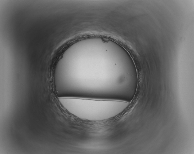 X0000114551494200910190941
