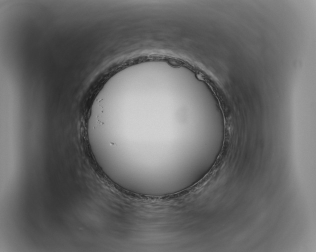 X0000114551495200910190941