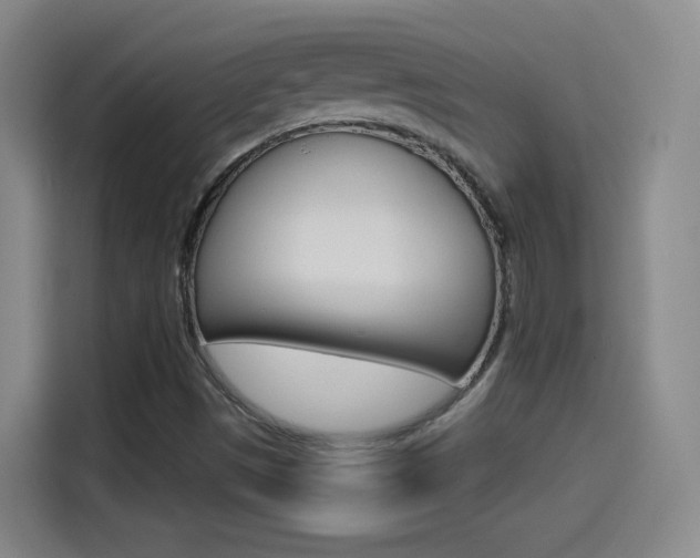 X0000114551497200910190941