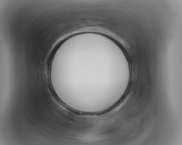 X0000114551498200910190941