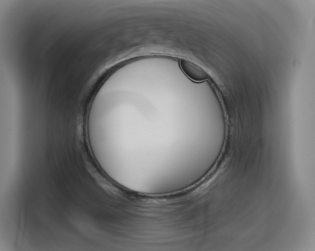X0000114551499200910190941