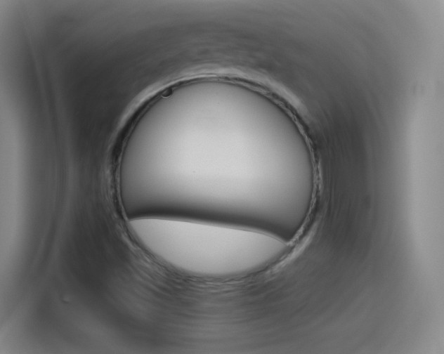 X0000114551501200910190941