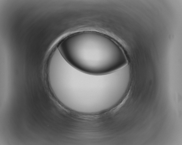 X0000114551502200910190941