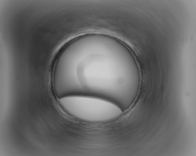 X0000114551503200910190941