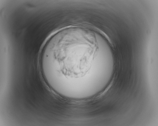 X0000114551506200910190941
