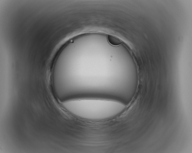 X0000114551507200910190941
