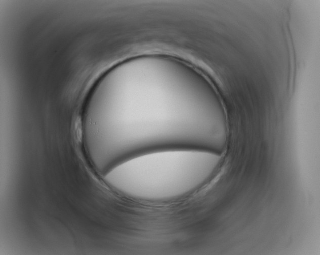 X0000114551509200910190941