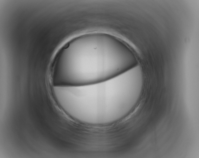 X0000114551510200910190941