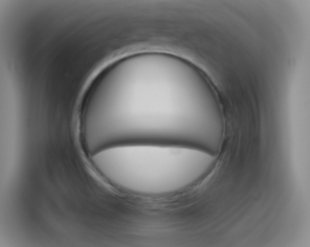 X0000114551511200910190941
