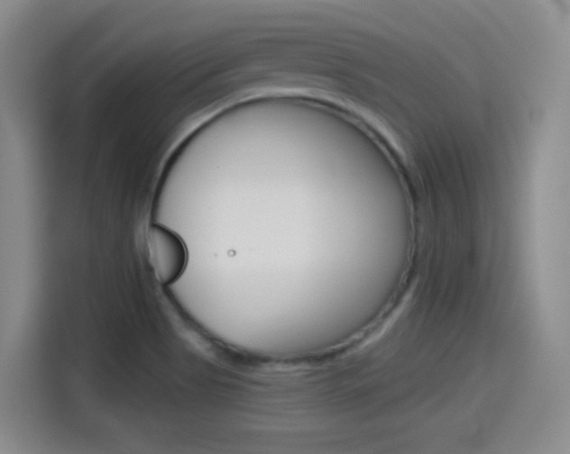 X0000114551513200910190941
