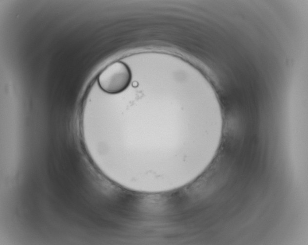 X0000114551514200910190941