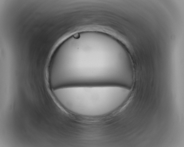 X0000114551517200910190941