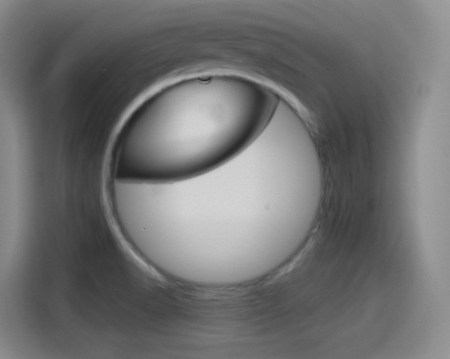 X0000114551518200910190941