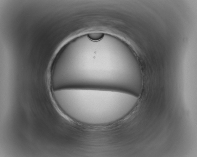 X0000114551519200910190941
