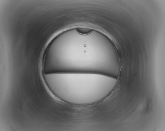 X0000114551523200910190941