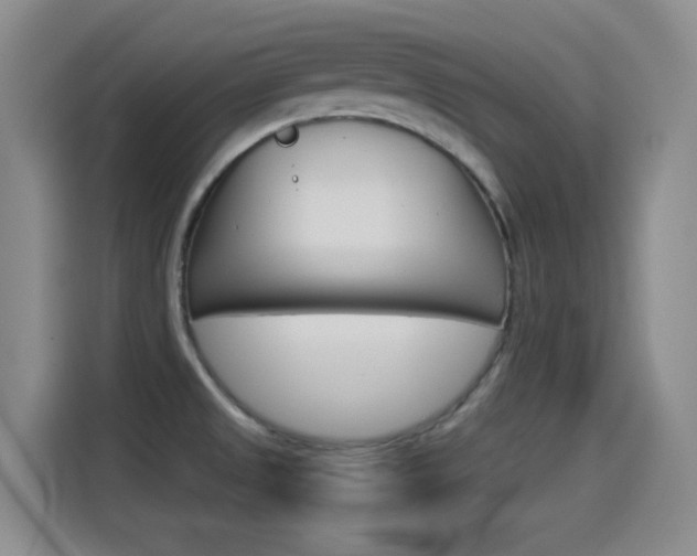 X0000114551525200910190941