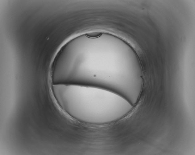 X0000114551526200910190941