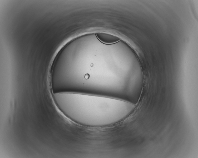X0000114551527200910190941