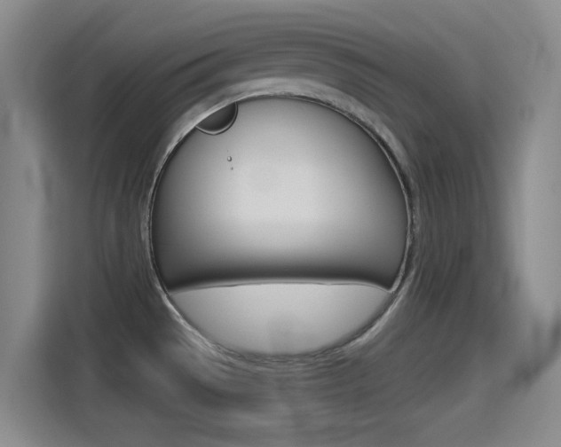 X0000114551529200910190941