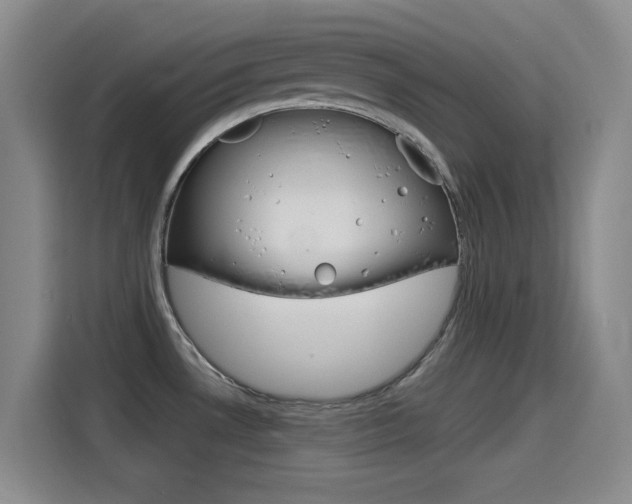 X0000114551530200910190941