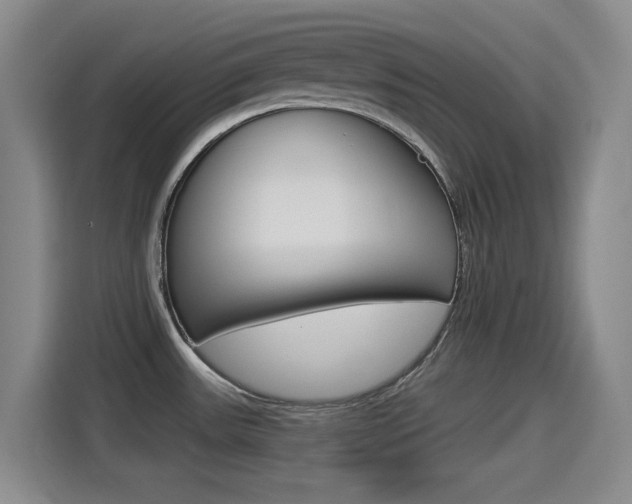 X0000114551531200910190941