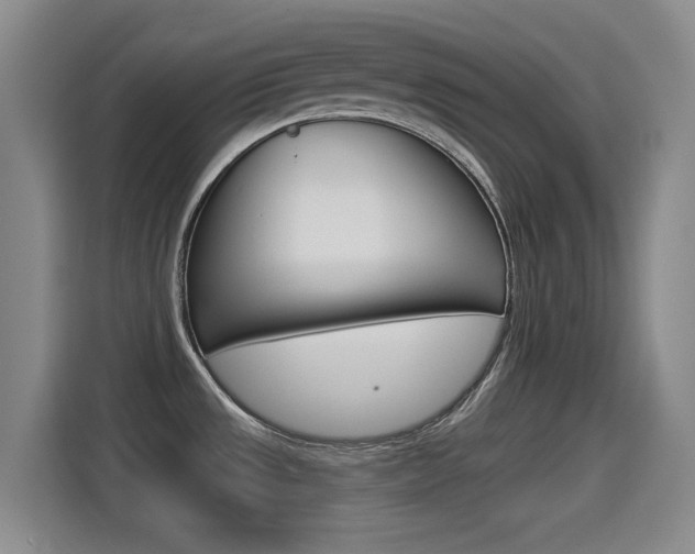X0000114551533200910190941