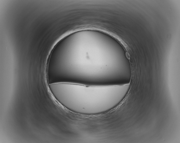 X0000114551534200910190941