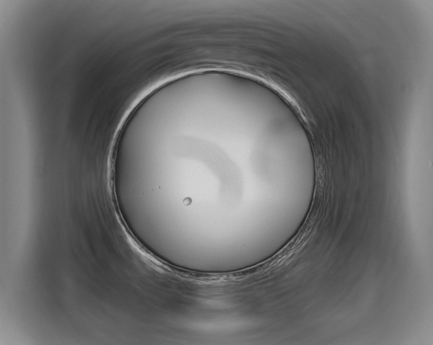 X0000114551535200910190941