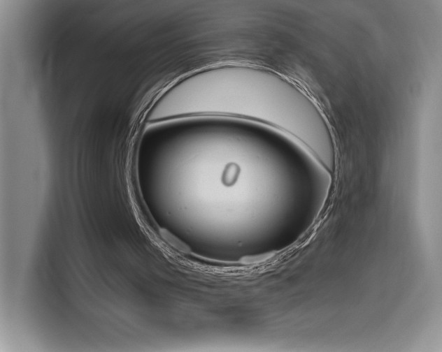 X0000114550001200910191421