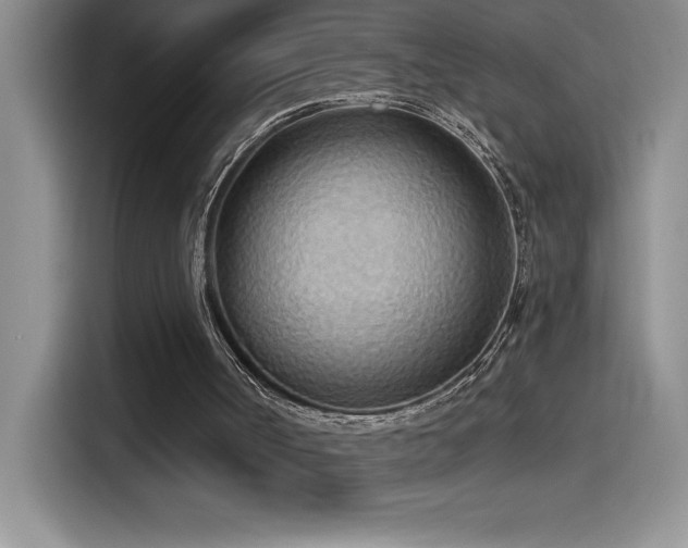 X0000114550002200910191421