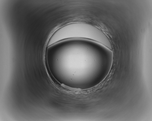 X0000114550003200910191421