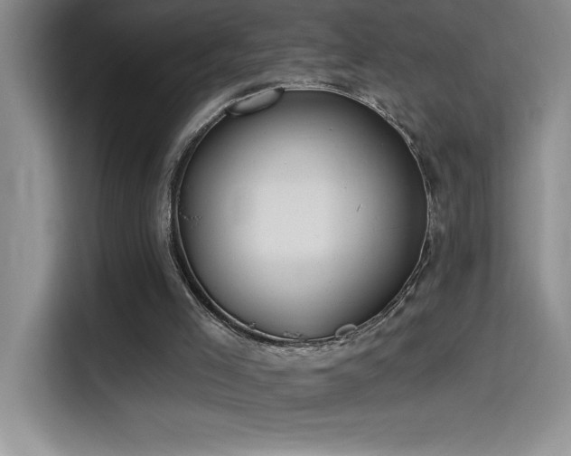 X0000114550005200910191420