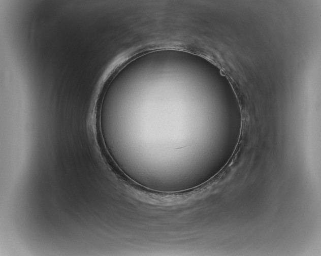 X0000114550006200910191420