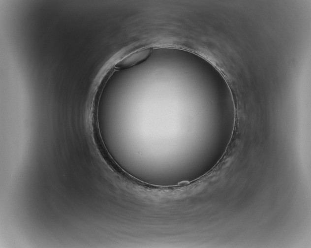 X0000114550007200910191420