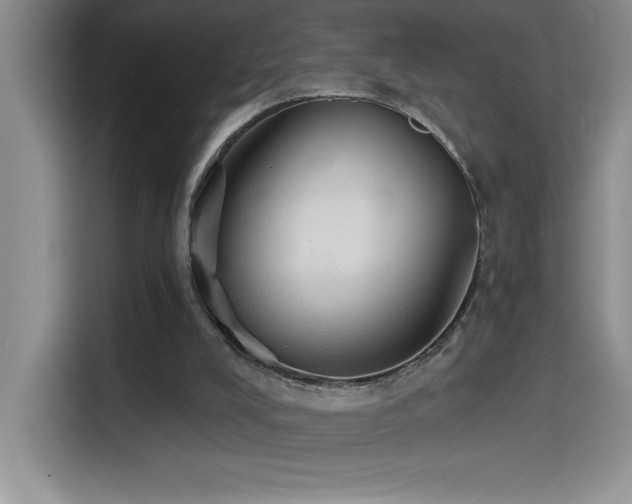 X0000114550008200910191420