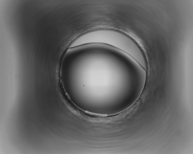 X0000114550009200910191420