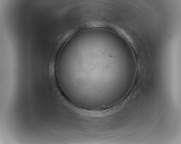 X0000114550010200910191420
