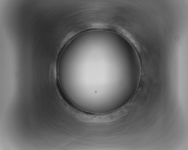 X0000114550011200910191420