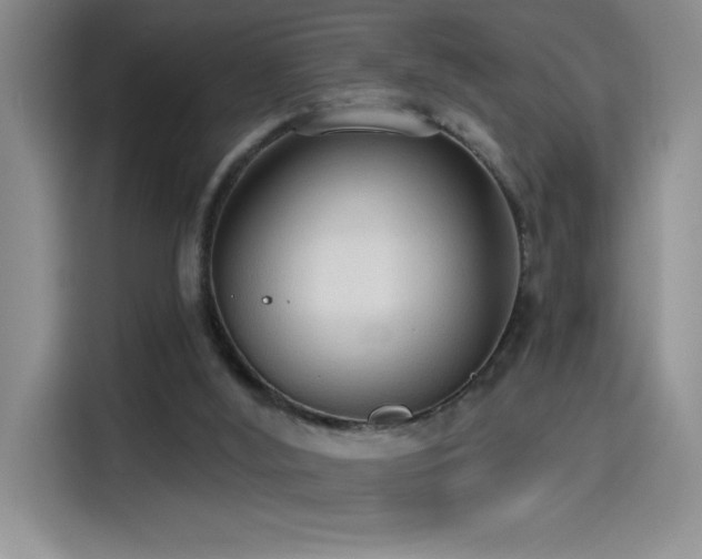 X0000114550012200910191420