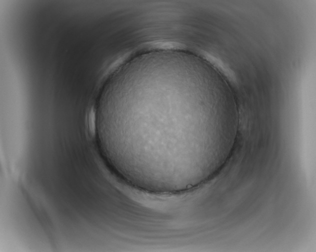 X0000114550014200910191420