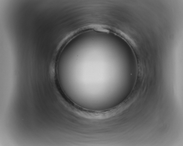 X0000114550015200910191420