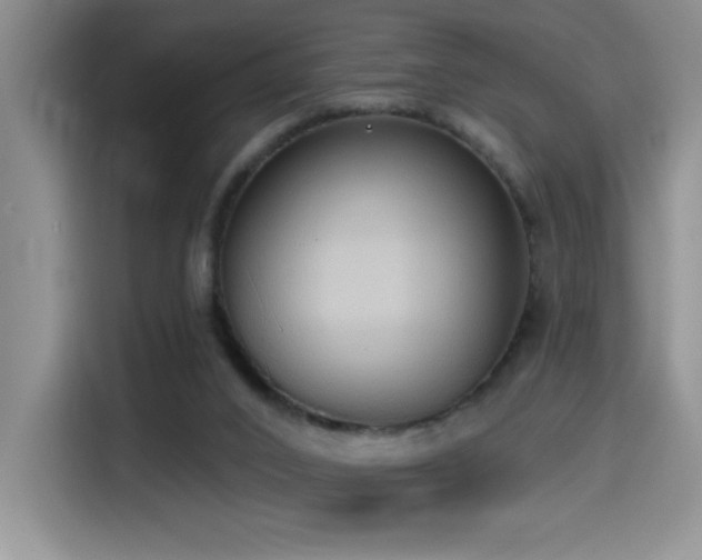 X0000114550016200910191420