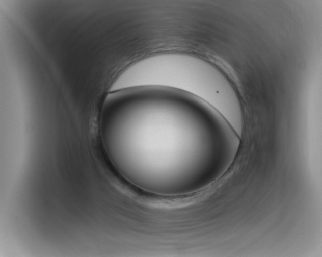 X0000114550017200910191420