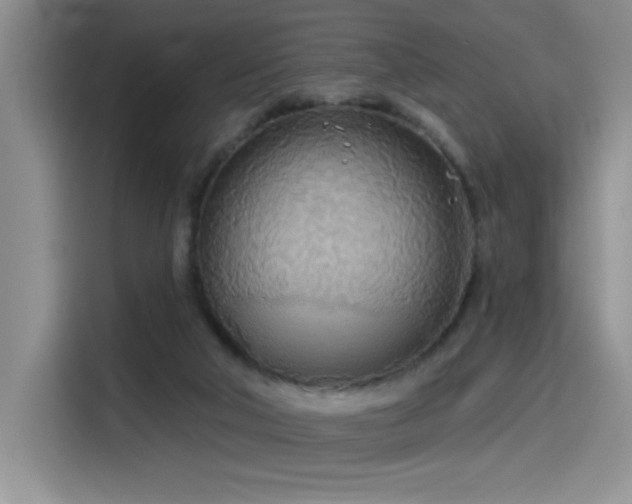 X0000114550018200910191420
