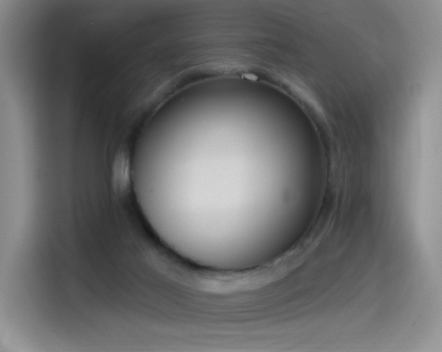 X0000114550021200910191420