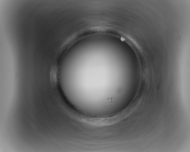 X0000114550023200910191420