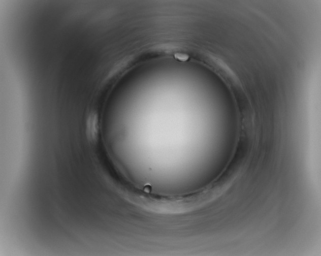 X0000114550024200910191420