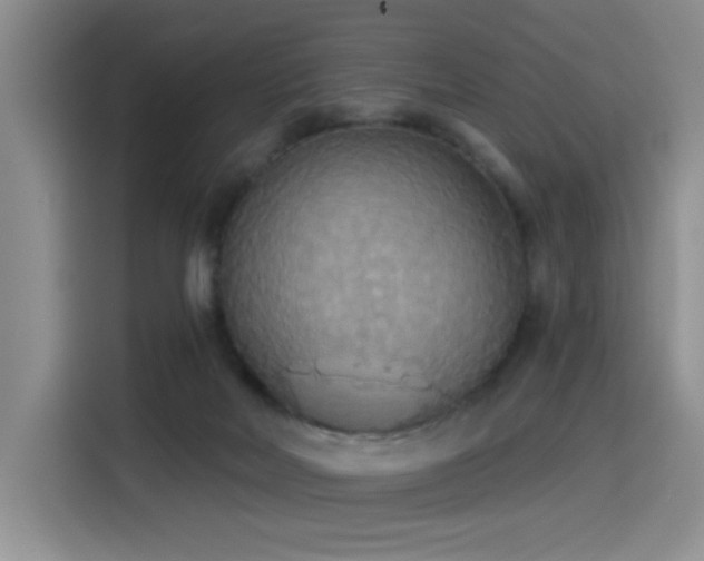 X0000114550026200910191420